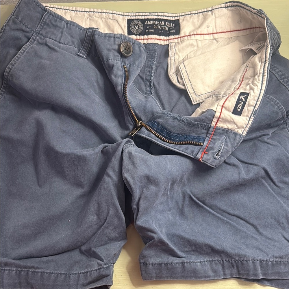 American Eagle Outfitters Navy Flat Front Shorts